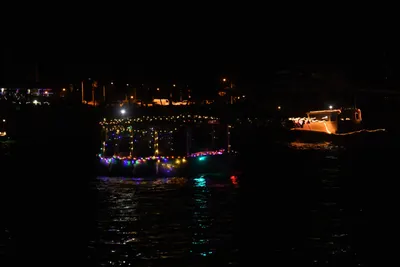 DSC_2529 (Large).JPG